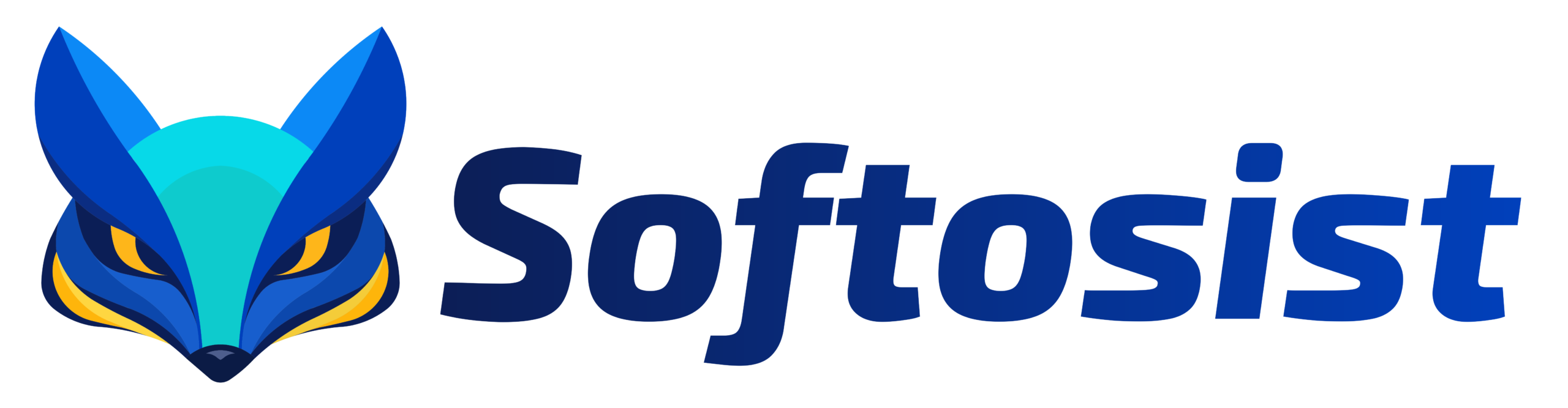 Softosist Pvt Ltd